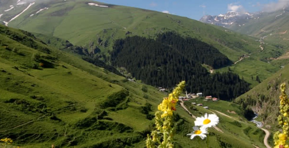 Samsun Trabzon Giresun Rize Batum Turu