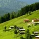 Giresun Rize Hopa Trabzon Kars Erzurum Ardahan Turu