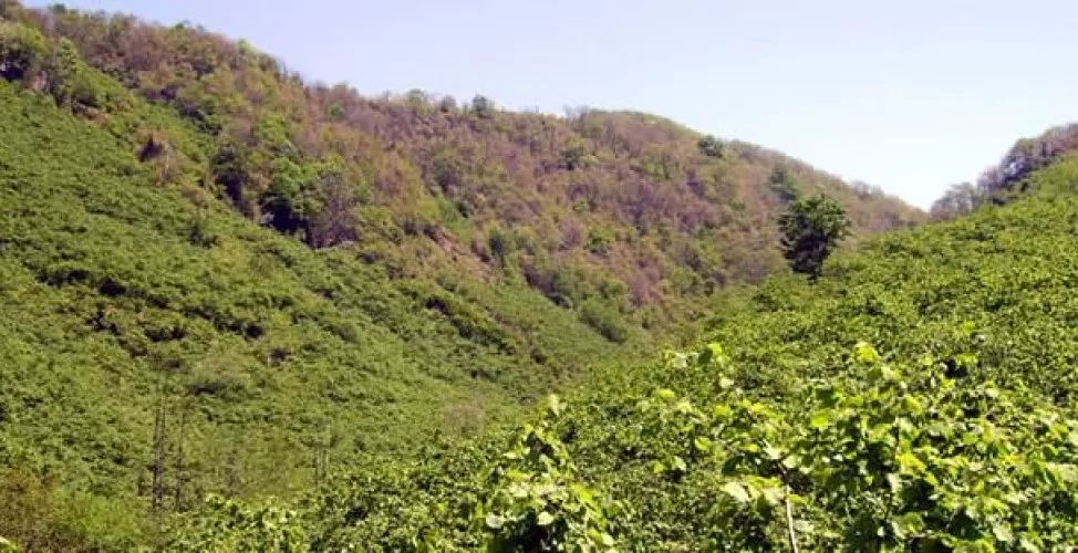 Giresun Rize Hopa Trabzon Kars Erzurum Ardahan Turu