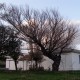 İğneada Dupnisa Edirne Turu İğneada Dupnisa Edirne Turu