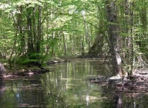 İğneada Dupnisa Edirne Turu