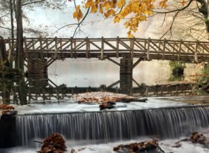 Yedigöller Turları
