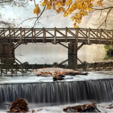 Yedigöller Turları